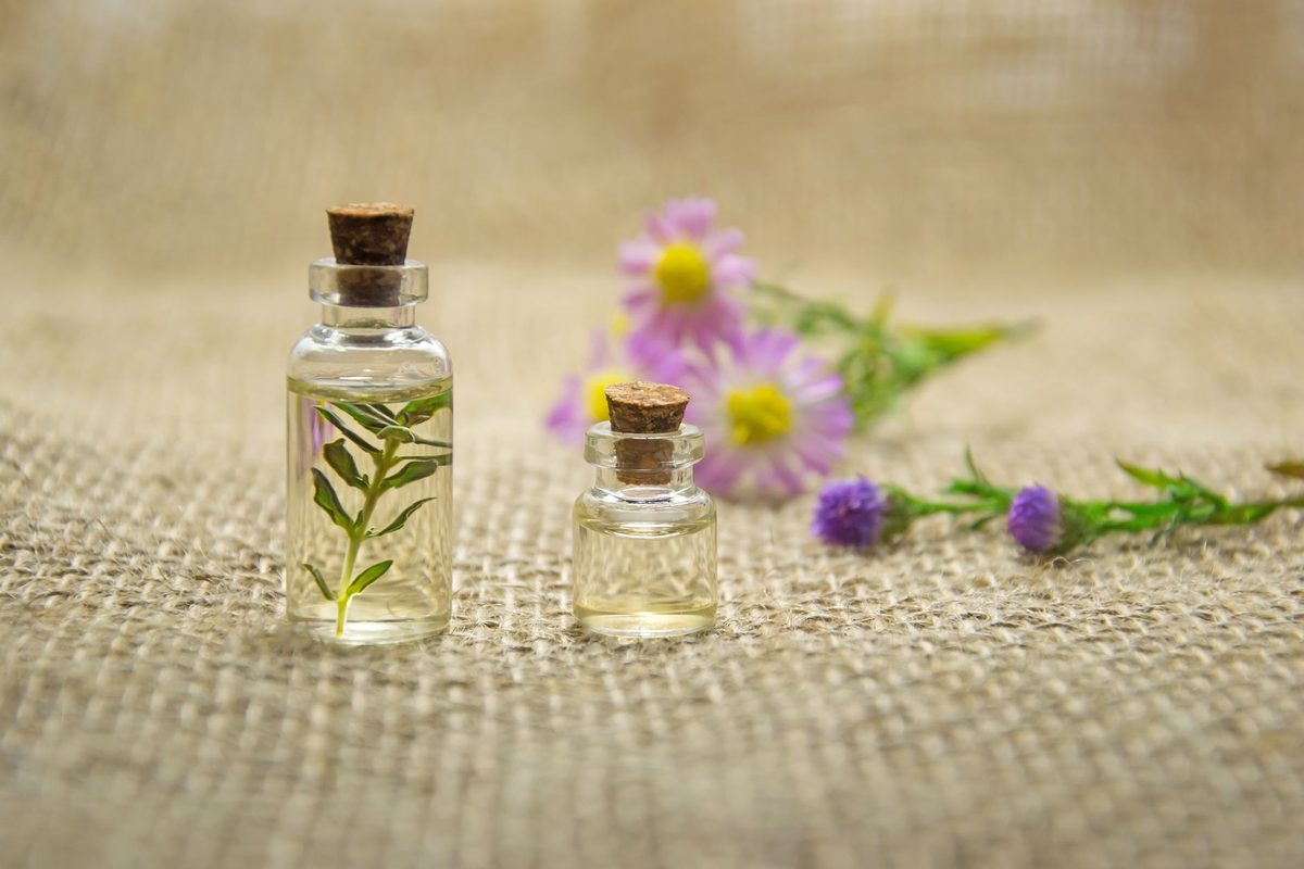 10 Best Essential Oil Shopify Stores (2026)