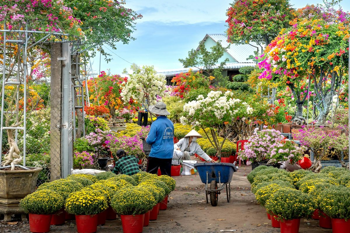 10 Best Plants & Garden Shopify Stores (2026)