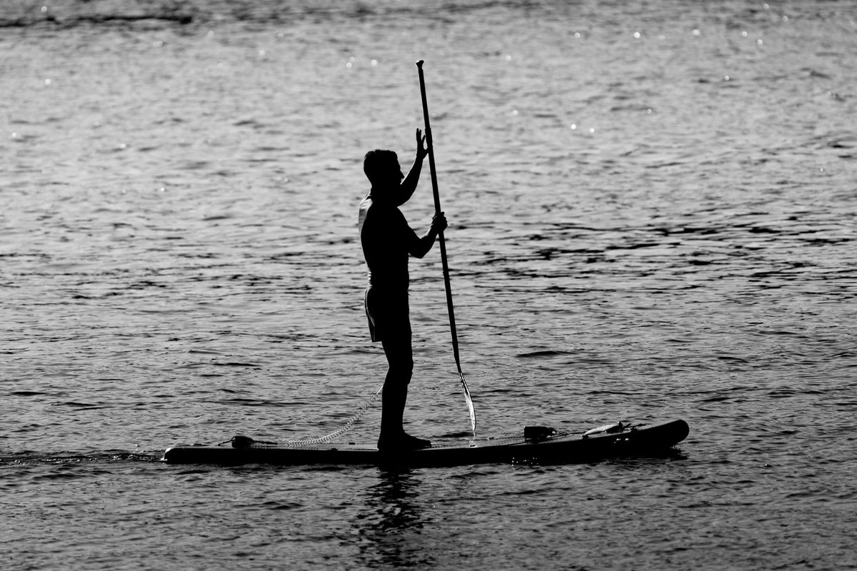 10 Best Paddleboard Shopify Stores (2026)