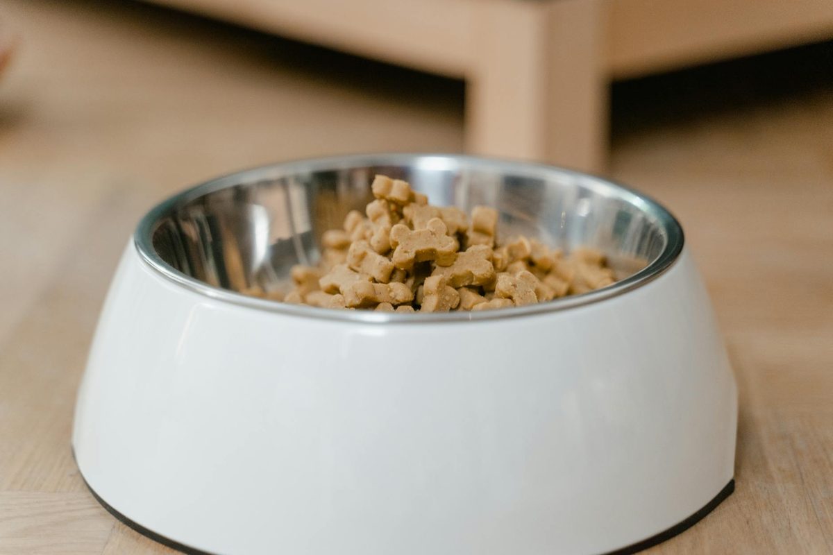 10 Best Pet Food Shopify Stores (2026)