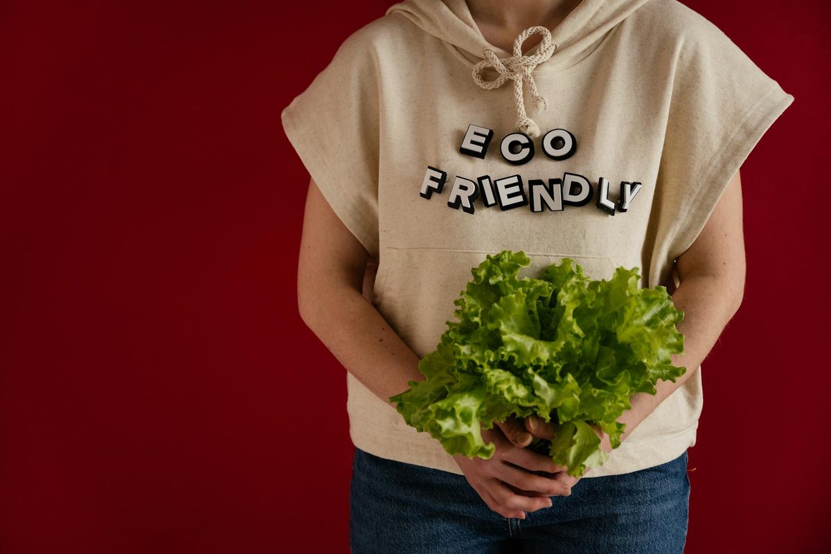 10 Best Sustainable Fashion Shopify Stores (2026)