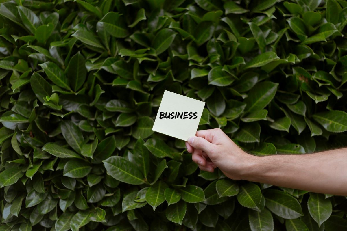 Sustainable Ecommerce on Shopify: How UK Brands Can Reduce Impact and Win Loyal Customers