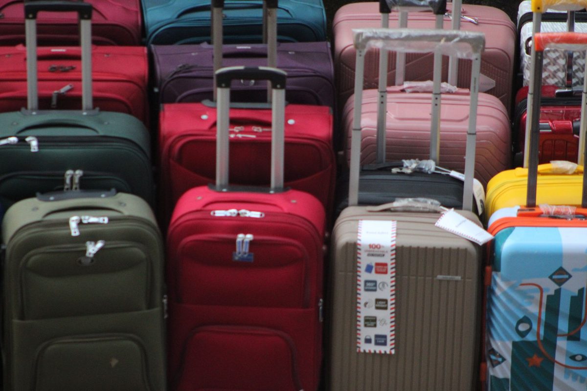 10 Best Travel Accessories and Luggage Shopify Stores (2026)